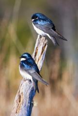 Johnna_070522_0033_.jpg 